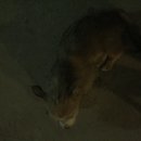 Week 2 with Atti (618030)