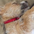 Week 2 with Atti (618105)