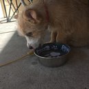 Week 2 with Atti (618114)