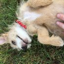 Week 2 with Atti (618116)