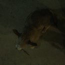 Week 2 with Atti (618147)