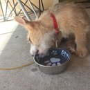 Week 2 with Atti (618100)