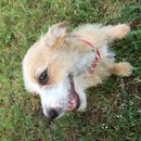 Week 2 with Atti (618133)