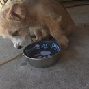 Week 2 with Atti (618144)