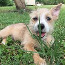 Week 2 with Atti (618074)