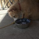 Week 2 with Atti (618156)