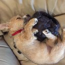 Week 2 with Atti (618109)