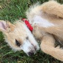 Week 2 with Atti (618159)