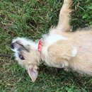 Week 2 with Atti (618206)