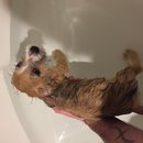 Week 2 with Atti (618211)