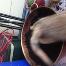 New Running Segment (618175)