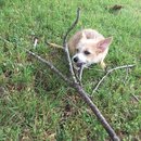 Week 2 with Atti (618176)