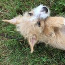 Week 2 with Atti (618196)