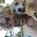 Week 2 with Atti (618113)