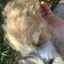 Week 2 with Atti (618106)