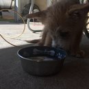 Week 2 with Atti (618084)