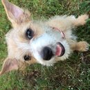 Week 2 with Atti (618213)