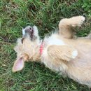 Week 2 with Atti (618143)