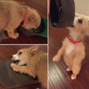 Week 2 with Atti (618092)