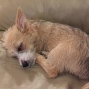 Week 2 with Atti (618174)