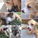 Week 2 with Atti (618112)