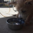 Week 2 with Atti (618204)