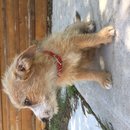 Week 2 with Atti (618152)