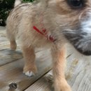 Week 2 with Atti (618186)