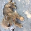 Week 2 with Atti (618212)