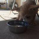 Week 2 with Atti (618171)