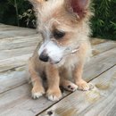 Week 2 with Atti (618085)