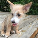 Week 2 with Atti (618203)