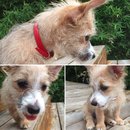 Week 2 with Atti (618221)