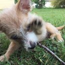 Week 2 with Atti (618225)