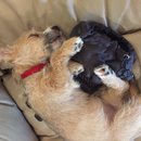 Week 2 with Atti (618205)