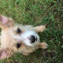 Week 2 with Atti (618193)