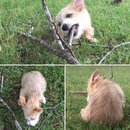 Week 2 with Atti (618210)