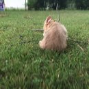 Week 2 with Atti (618131)