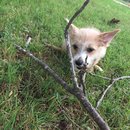 Week 2 with Atti (618120)