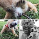 Week 2 with Atti (618194)