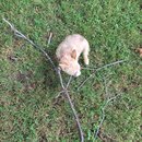 Week 2 with Atti (618192)