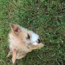 Week 2 with Atti (618195)