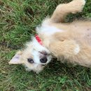 Week 2 with Atti (618134)