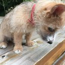 Week 2 with Atti (618148)