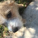 Week 2 with Atti (618090)