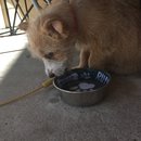 Week 2 with Atti (618181)