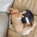 Week 2 with Atti (618169)