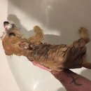 Week 2 with Atti (618222)