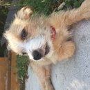 Week 2 with Atti (618149)