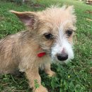 Week 2 with Atti (618167)